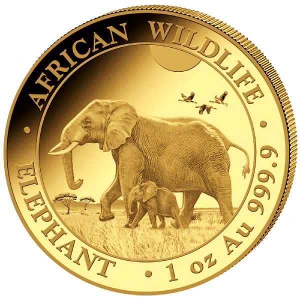 Somalia Elefant 2022 Gold Motiv 1oz