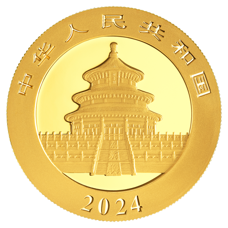 China Panda 30g Goldmünze 2024