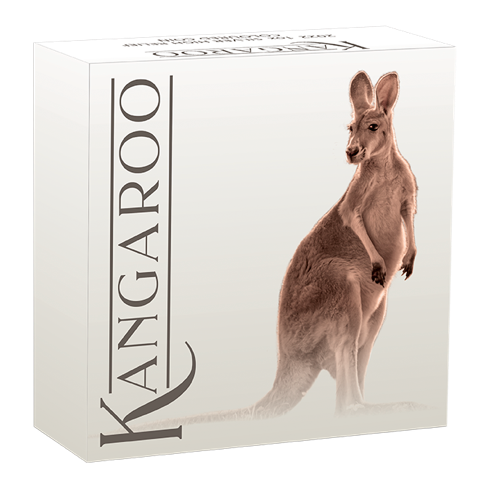 Australien Känguru 1 Unze Silbermünze 2022 coloriert - High Relief 