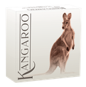 Australien Känguru 1 Unze Silbermünze 2022 coloriert - High Relief 