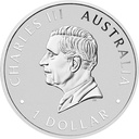 Australien Emu 1 Unze Silbermünze 2024 coloriert 