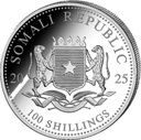 Somalia African Wildlife Leopard 1oz Silver Coin 2025