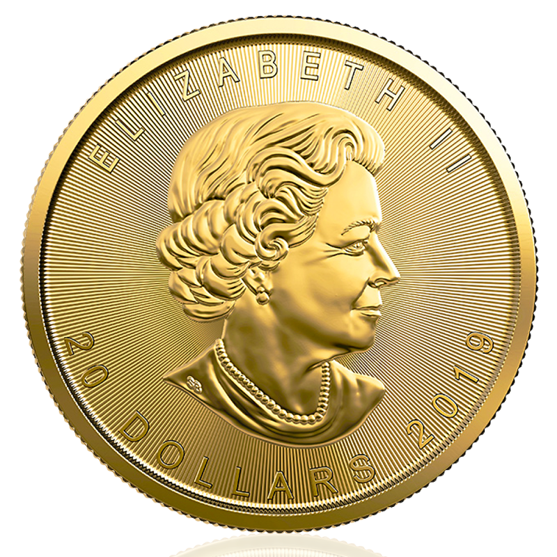Maple Leaf 1/2oz Gold Coin 2019