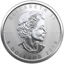 Maple Leaf 1oz Silver Coin 2019 (margin scheme)