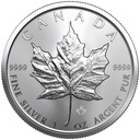 Maple Leaf 1oz Silver Coin 2019 | margin scheme
