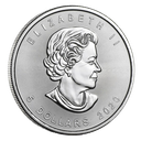 Maple Leaf 1oz Silver Coin 2020 (margin scheme)