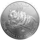 Predator Series Grizzly 1oz silver coin 2019 | margin scheme
