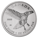 Red-Tailed Hawk 1oz Silver Coin 2015 margin scheme
