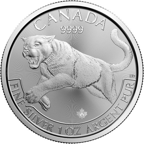 Predator Series Cougar 1oz Silver Coin 2016 | margin scheme