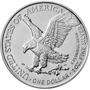 American Eagle 1oz Silver Coin 2021 - New Design Type 2 | margin scheme