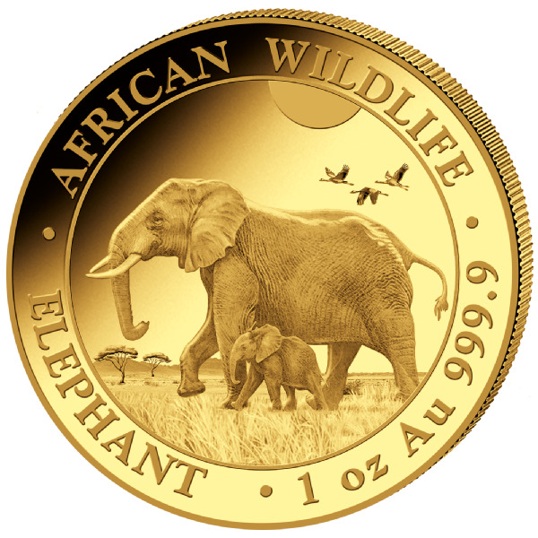Somalia Elephant 1oz Gold Coin 2022