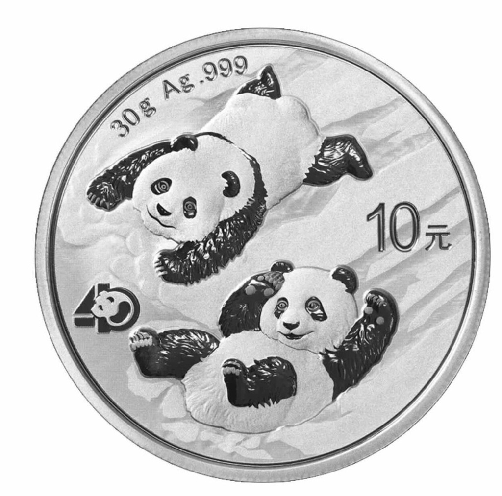 China Panda 30g Silver Coin 2022 | margin scheme