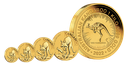 Kangaroo 1oz Gold Coin 2022