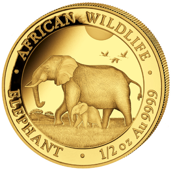 Somalia Elephant 1/2 oz Gold Coin 2022