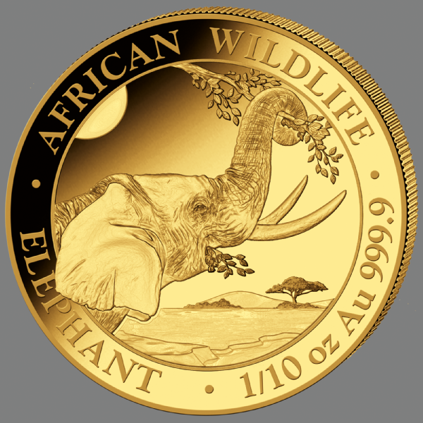 Somalia Elefant 1/10 oz Gold Coin 2023