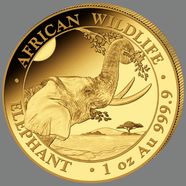 Somalia Elephant 1oz Gold Coin 2023