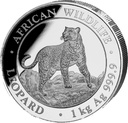 African Wildlife Leopard 1kg Silver Coin 2022 margin scheme