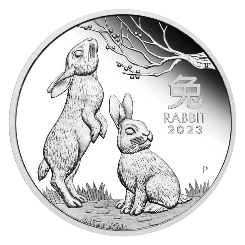 Lunar III Rabbit 2 oz Silver Coin 2023 margin scheme