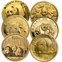 China Panda 1/4oz Gold Coin | different years