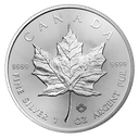 Maple Leaf 1oz Silver Coin | margin scheme