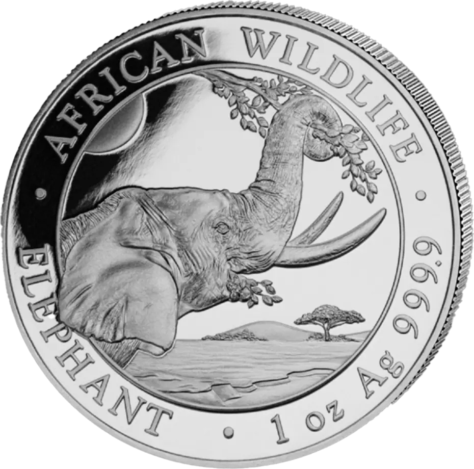 Somalia Elephant 1oz Silver Coin 2023