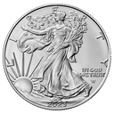 American Eagle 1oz Silver Coin 2023 - margin scheme