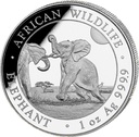 Somalia Elephant 1oz Silver Coin 2024 | margin scheme