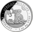 Somalia Elephant 1oz Silver Coin 2024