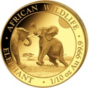 Somalia Elephant 1/10 oz Gold Coin 2024
