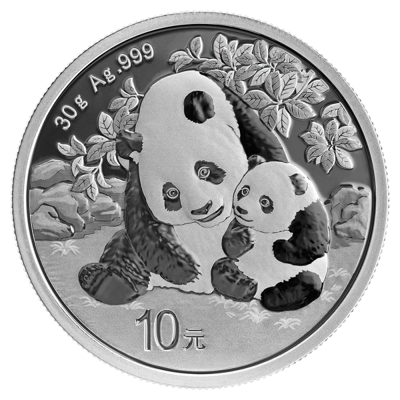 China Panda 30g Silver Coin 2024