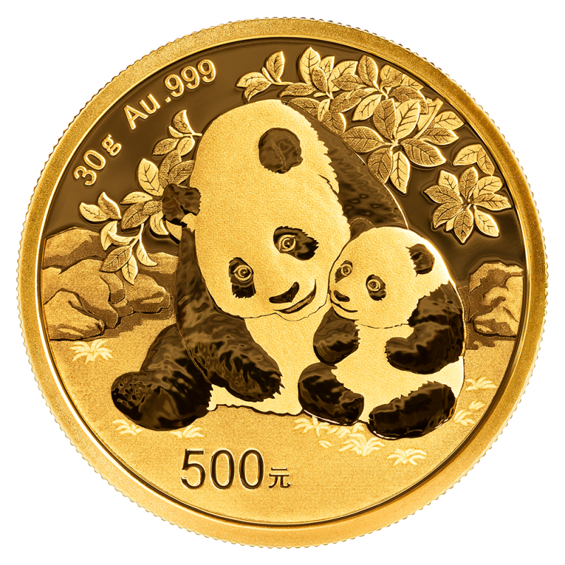 China Panda 30g Gold Coin 2024