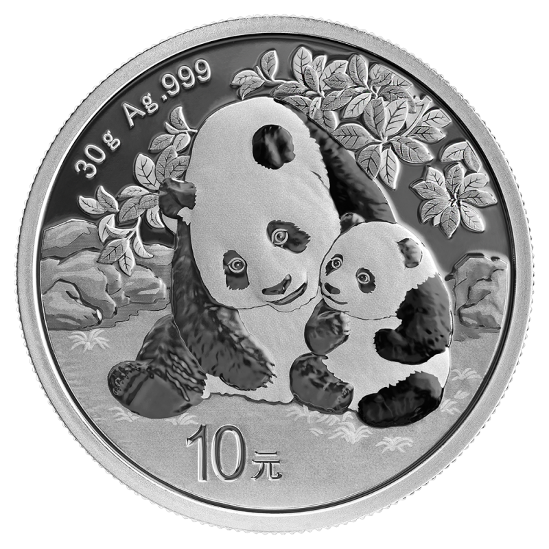 China Panda 30g Silver Coin 2024 | margin scheme