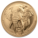 South Africa Big Five - Elephant 1oz Gold Coin 2024