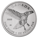 Birds of Prey Red-Tailed Hawk 1oz Silver coin 2015 margin scheme