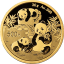 China Panda 30g Gold Coin 2025