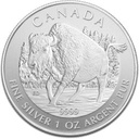 Canadian Wildlife Series Bison 1oz Silver Coin 2013 margin scheme