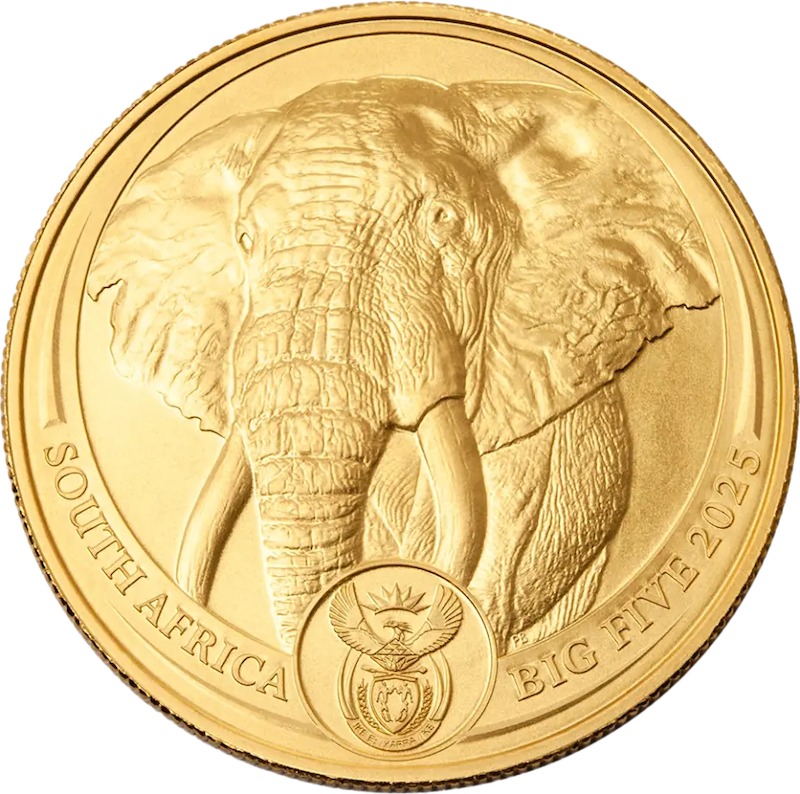 Southafrika Big Five - Elephant 1oz Gold Coin 2025