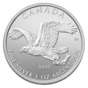 Birds of Prey - Bald Eagle 1oz Silver Coin 2014 | margin scheme