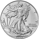 American Eagle 1oz Silver Coin 2025 margin scheme