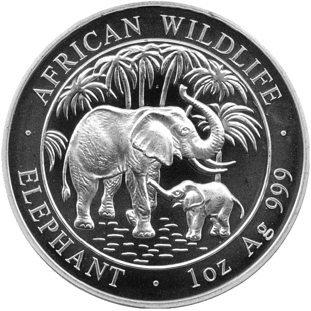 Somalia Elephant 1oz Silver Coin 2007 margin scheme