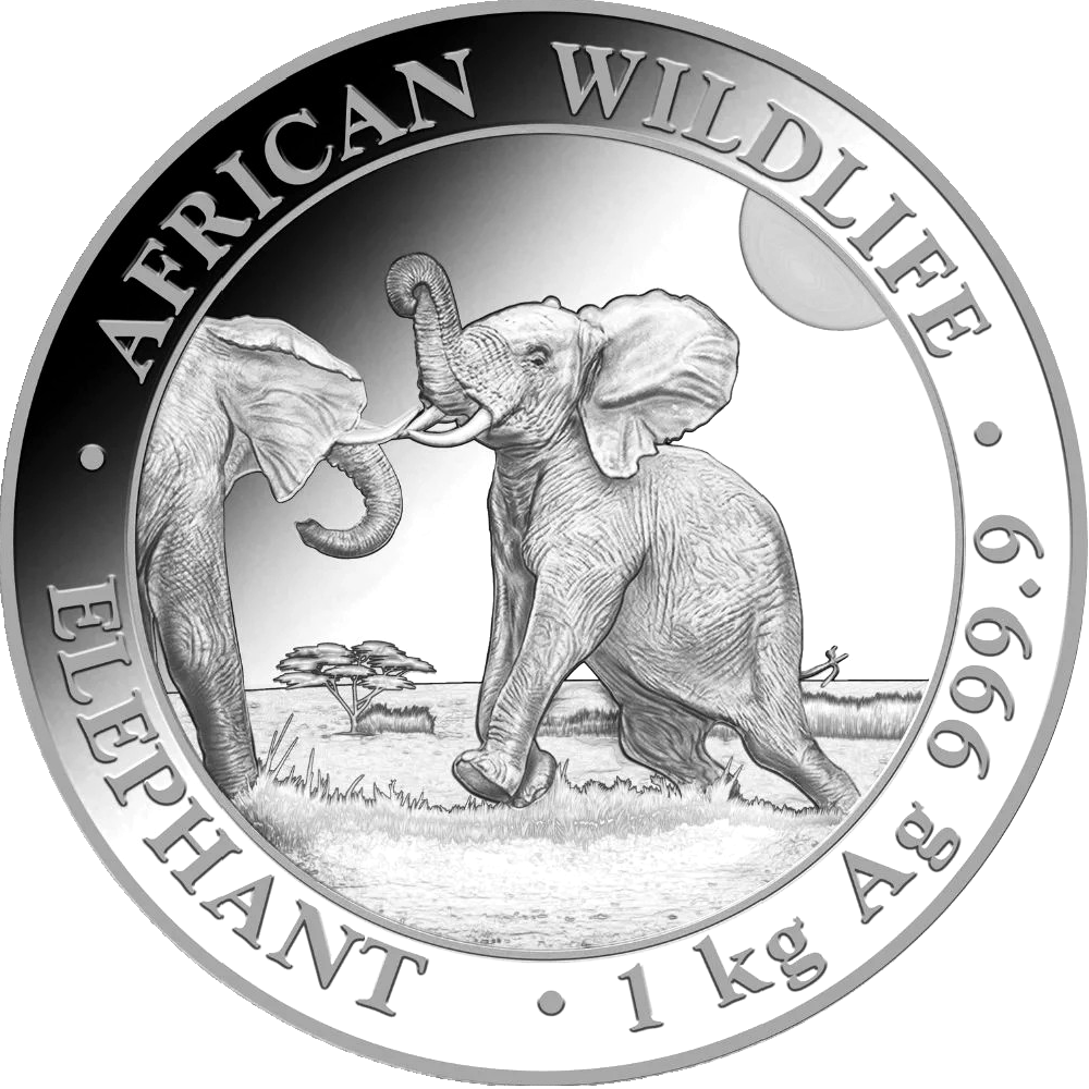 Somalia Elephant 1kg Silver Coin 2024 margin scheme