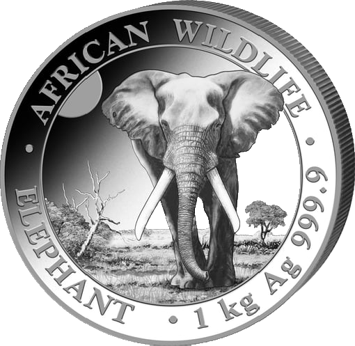 Somalia Elephant 1kg Silver Coin 2025 | margin scheme