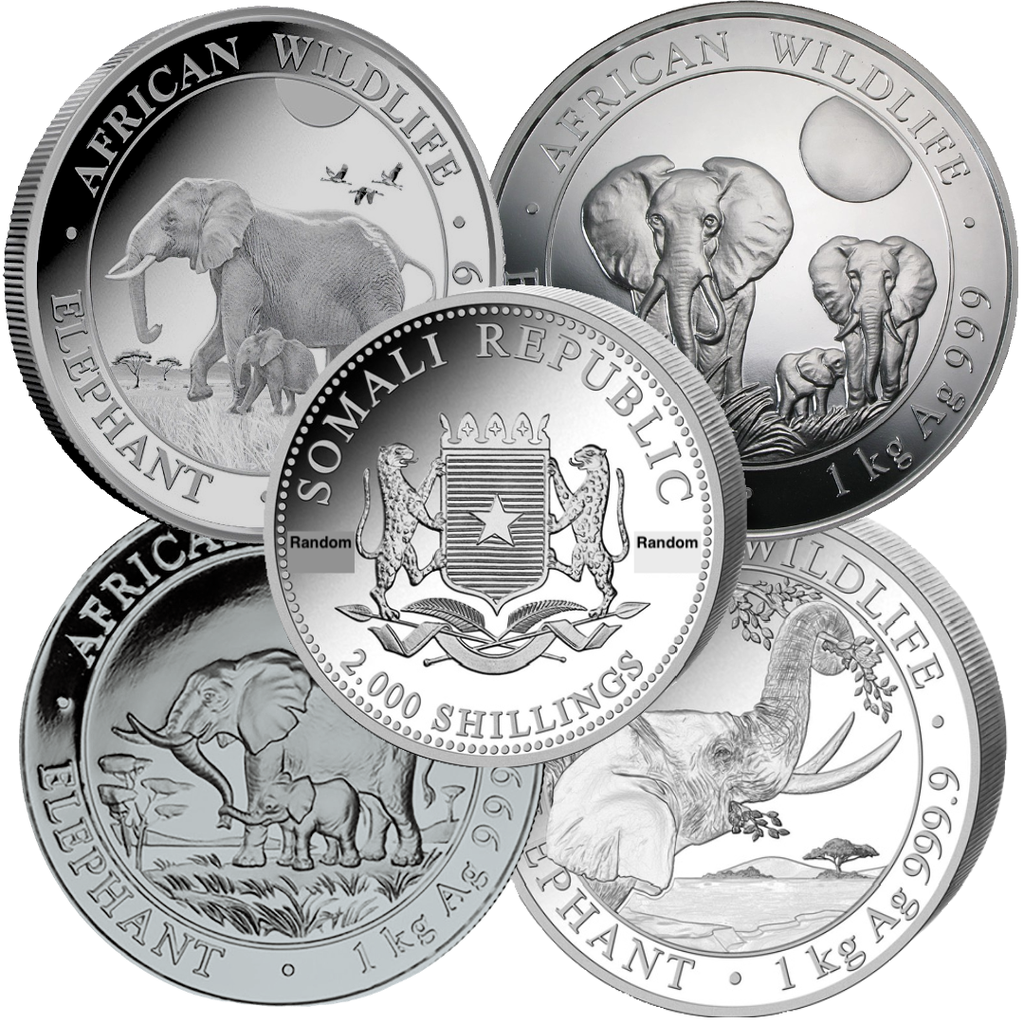 Somalia Elephant 1kg Silver Coin - different years | margin scheme
