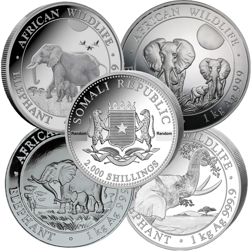 Somalia Elephant 1kg Silver Coin Random Years margin scheme