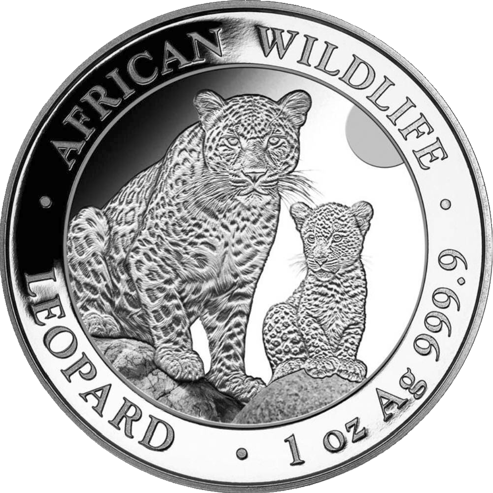 African Wildlife Leopard 1oz silver coin 2024 | margin scheme