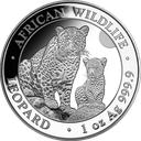 African Wildlife Leopard 1oz silver coin 2024 | margin scheme
