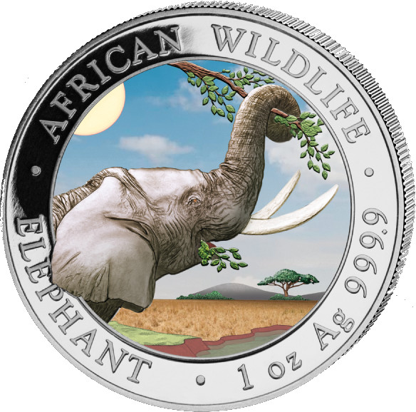 Somalia Elephant 1oz silver coin 2023 colored