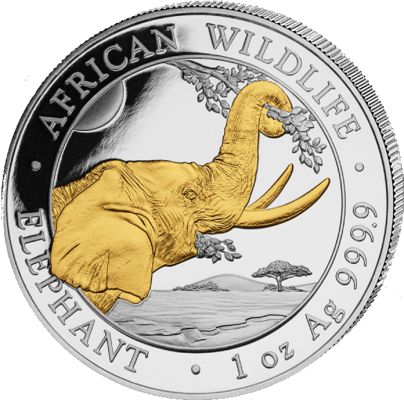 Somalia Elephant 1oz  Silver coin 2023 | gilded