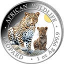 Somalia African Wildlife Leopard 1oz silver coin 2024 - coloured | margin scheme