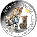 Somalia African Wildlife Leopard 1oz silver coin 2024 coloured margin scheme